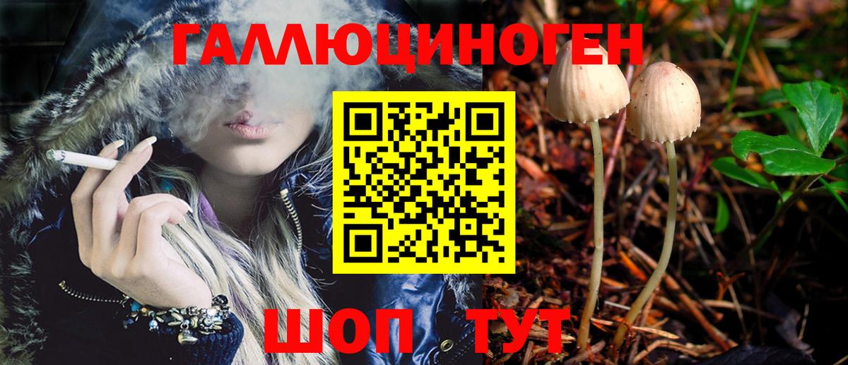 Псилоцибиновые грибы Cubensis  Вход с VPN  Псилоцибиновые грибы Psilocybe  Карпинск 