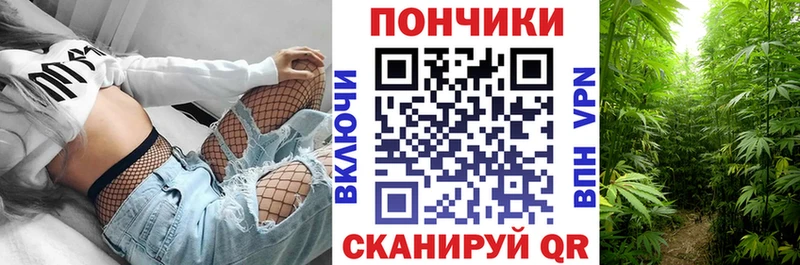 Бошки Шишки планчик  Карпинск 
